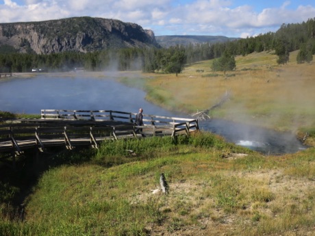 typical bubbling pool, Yellowstone N.P.